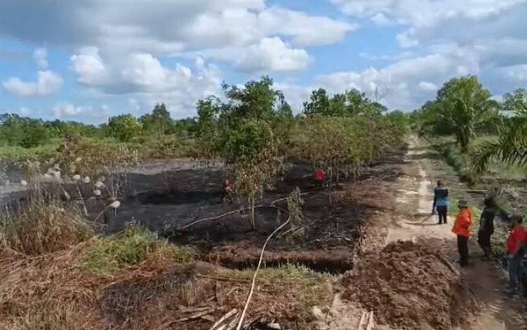 Kebakaran Lahan Kembali Melanda Sejumlah Titik di Sampit