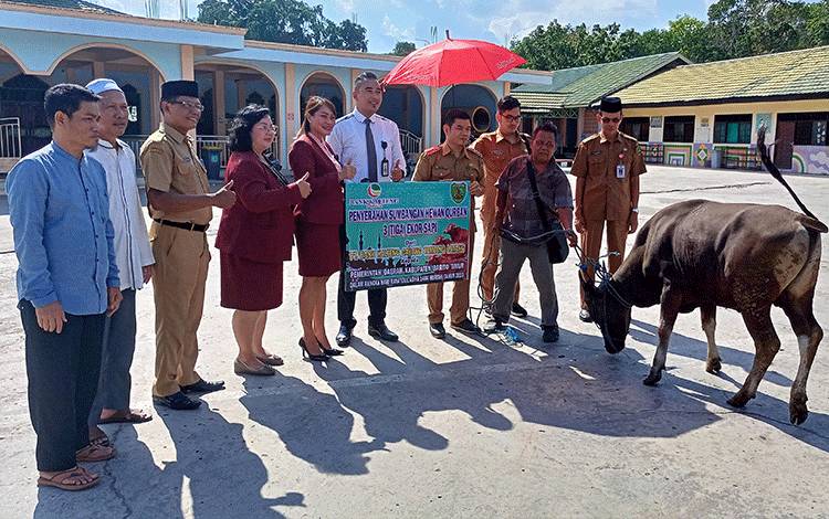Pemkab Barito Timur Terima Bantuan Hewan Kurban dari Bank Kalteng