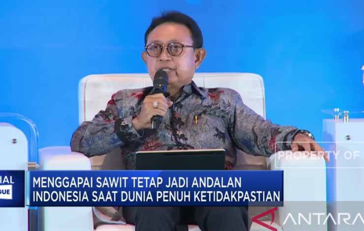 Ketum GAPKI Berharap Tidak Ada Lagi Pajak Tambahan di Industri Sawit
