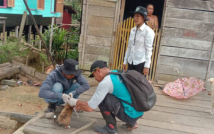 Tidak Ditemukan Kasus Rabies di Seruyan