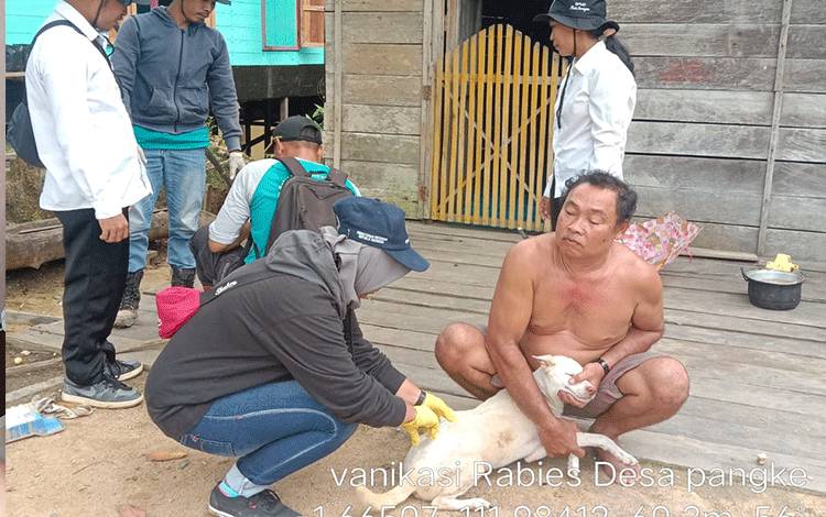 DKPP Seruyan Petakan Wilayah Rawan Rabies