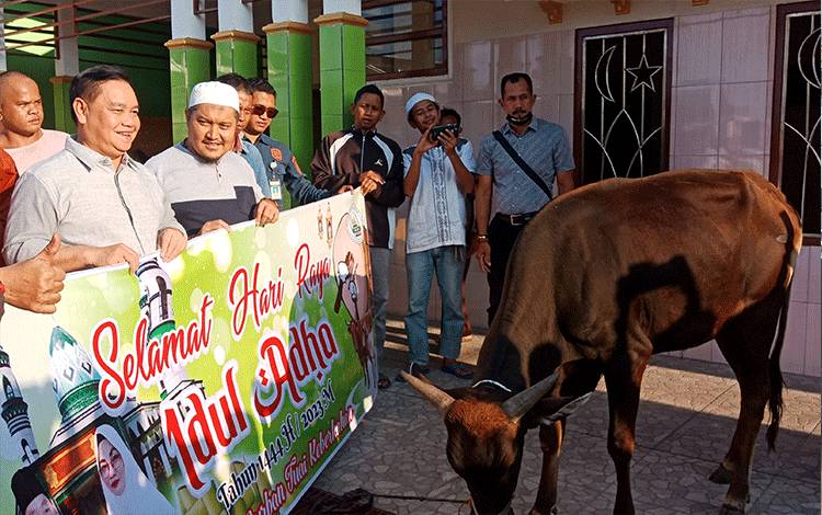 Pemkab Kotim Salurkan 120 Ekor Sapi Kurban di 17 Kecamatan?