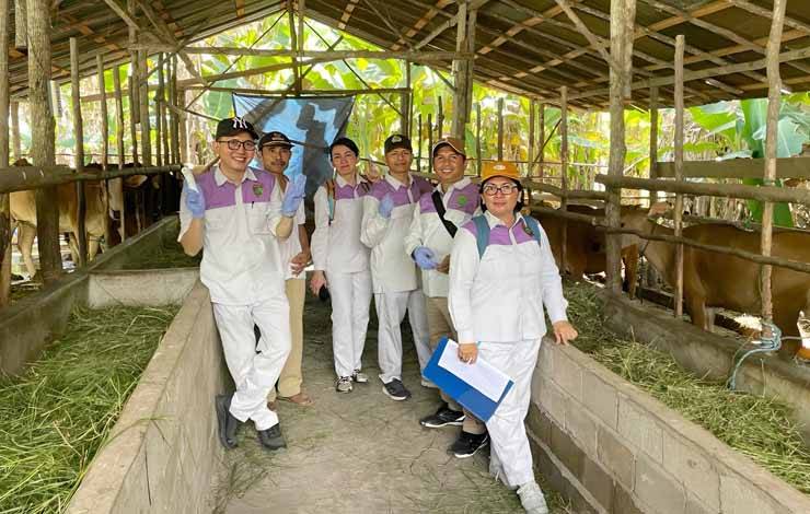 Dinas Peternakan Barito Timur Sudah Periksa Kesehatan 63 Sapi Kurban Bantuan Pemerintah Daerah