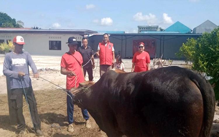 DPD PDI Perjuangan Provinsi Kalimantan Tengah melaksanakan ibadah kurban dengan menyembelih 2 ekor sapi di hari raya kurban, Kamis, 29 Juni 2023. (FOTO: TESTI PRISCILLA)