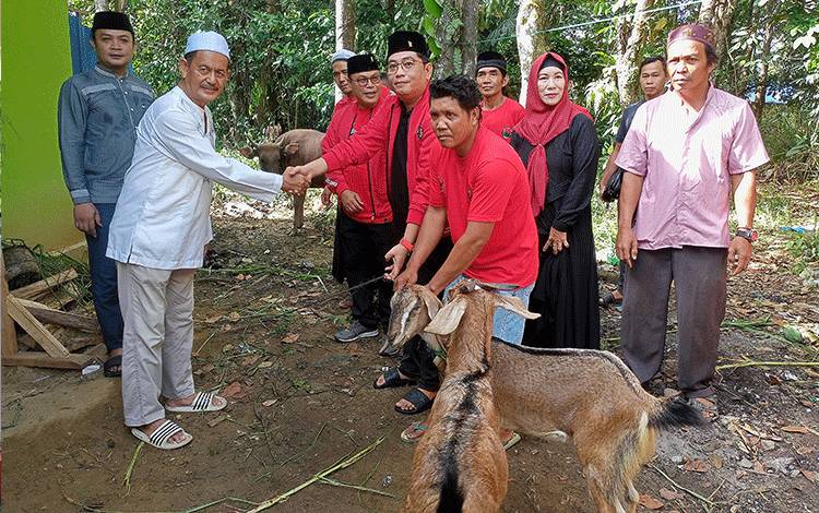 PDIP Barito Timur Sumbang 4 Hewan Kurban di Ampah