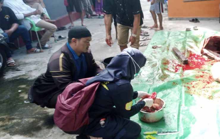 Petugas DKPP Sukamara melakukan pemeriksaan terhadap kesehatan hewan kurban yang disembelih masyarakat, Kamis, 29 Juni 2023. (NORHASANAH)