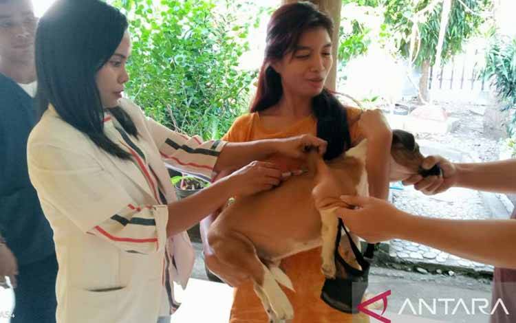 Korban Meninggal Akibat Rabies di TTS Bertambah Jadi Lima Orang