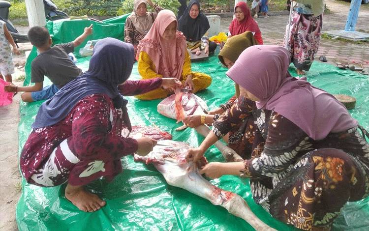 Gandeng Warga, PWI Kobar Berkurban 2 Sapi dan 1 Kambing
