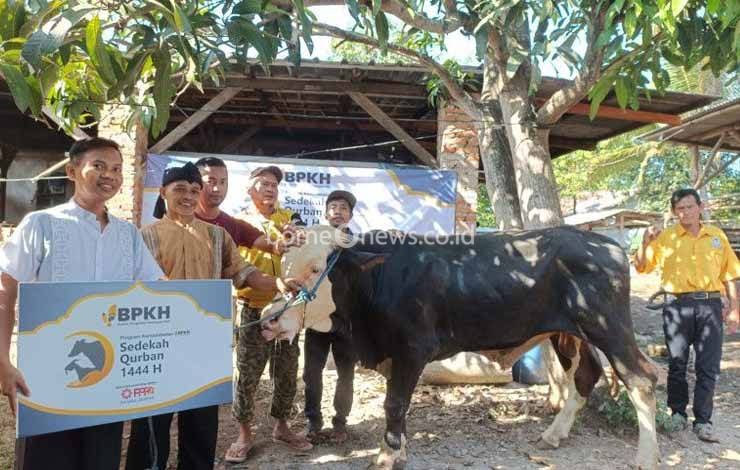 BPKH Salurkan 2.000 Hewan Kurban ke Pelosok Indonesia
