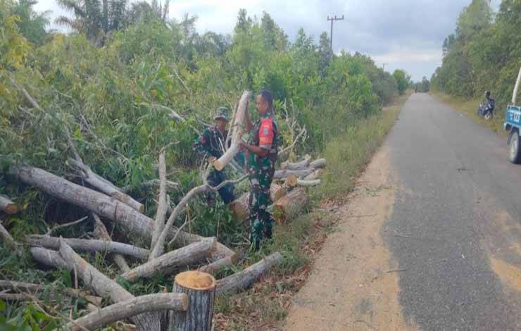 Koramil Kumai Bantu Evakuasi Pohon Tumbang di Jalan Menuju Pantai di Desa Kubu
