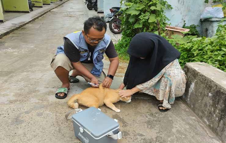 Waspadai Hewan Penular Rabies yang Liar di Palangka Raya