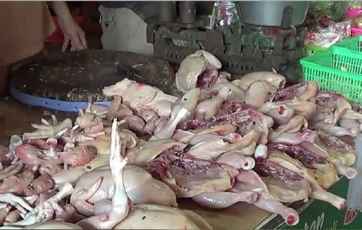 Daging ayam ras menjadi salah satu komoditas yang menyumbang kenaikan Indeks Perkembangan Harga (IPH) di sejumlah Kabupaten/Kota. (FOTO: IST)