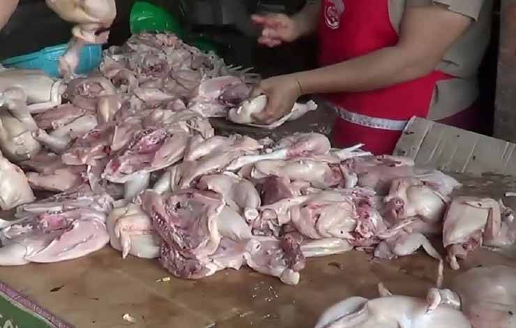 Selain Ayam Ras, Harga Komoditas di Kobar Stabil