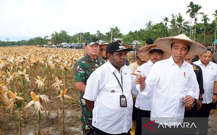 Presiden Dijadwalkan Temui Pelajar dan Resmikan Papua Street Carnival