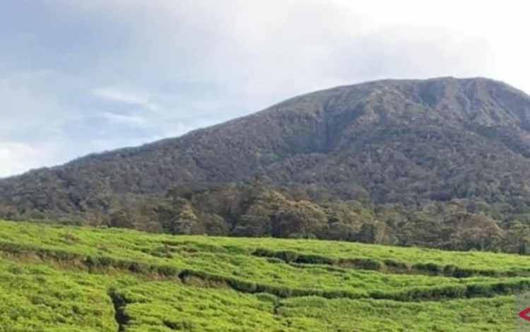 PVMBG Imbau Warga Jauhi Kawah Gunung Dempo