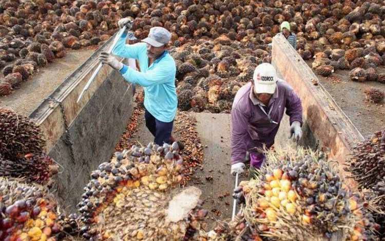 Disnakertrans Beri Pembekalan Terkait Peyelesaian Perselisihan Industrial?