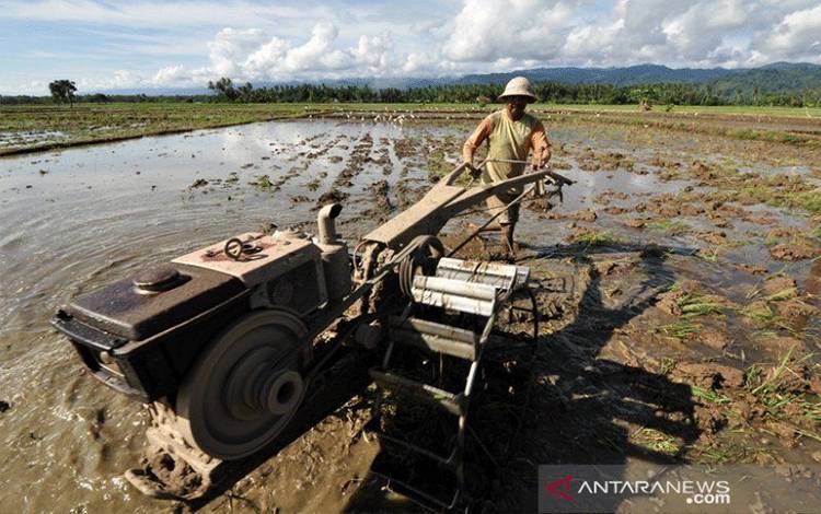 Dinas Pertanian Kapuas Minta Petani Waspada Penipuan Bantuan Alsintan