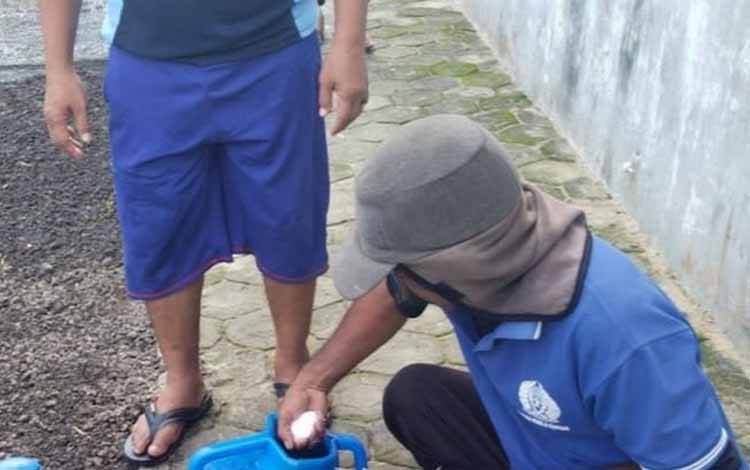 WBP Rutan Kapuas Lanjutkan Budi Daya Sayur di Area Brandgang?
