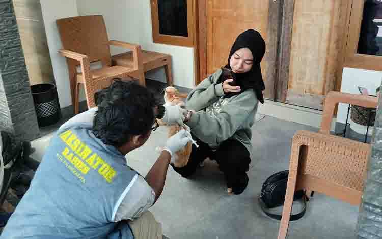 Seorang Ibu di Palangka Raya Digigit Kucing Rabies