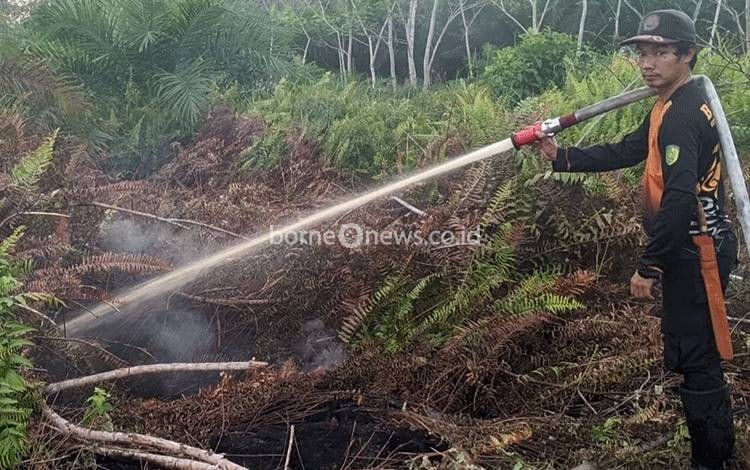 Hingga Hari Ini, 94 Karhutla Terjadi di Palangka Raya