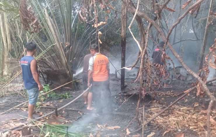 Jelang Adzan Magrib, Kandang Ayam Mantan ASN Kalteng Terbakar