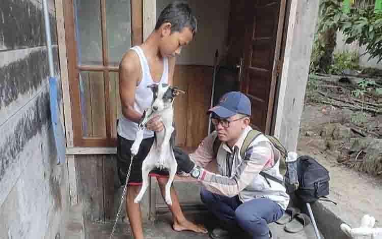 Pekan Depan Dinas Peternakan Vaksinasi Rabies di Kecamatan Benua Lima