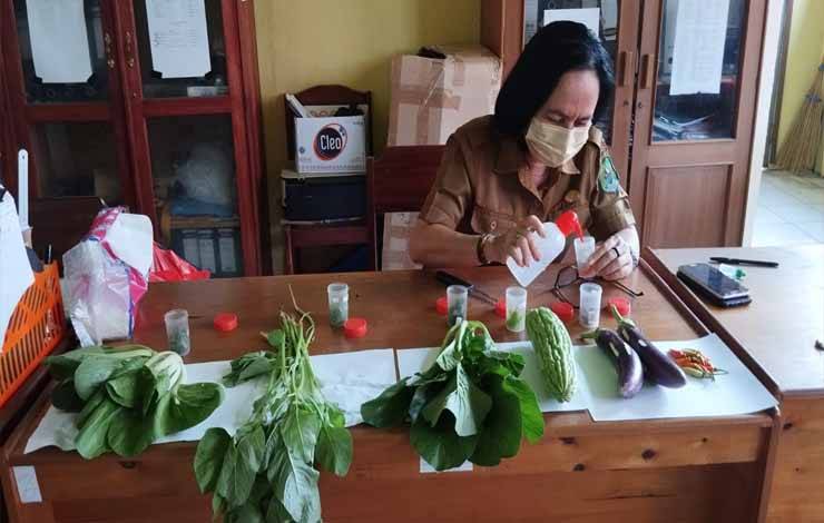 Dinas Ketahanan Pangan Kapuas Uji Sampel Sayuran dari Petani, Ini Tujuannya