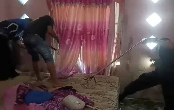 Septa Terkejut Ular Tedung Masuk Rumahnya