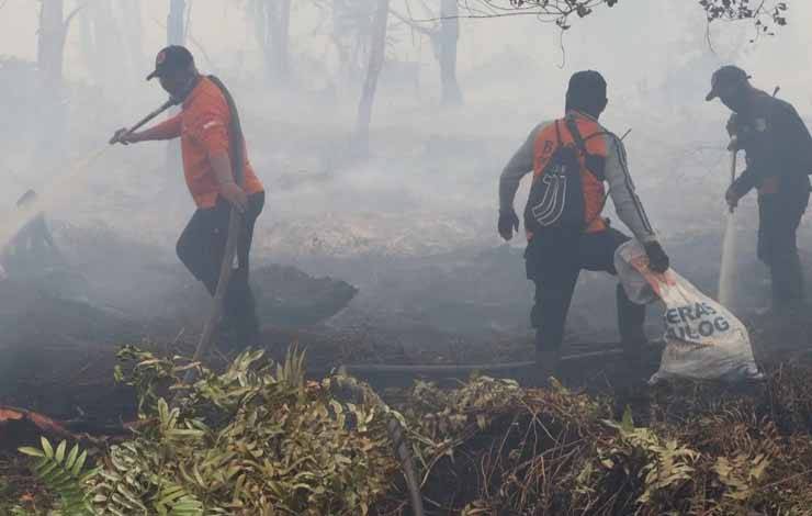 Tim Satgas Karhutla Kota Palangka Raya saat melakukan pendinginan lahan di Jalan Bengaris (Foto : IST)