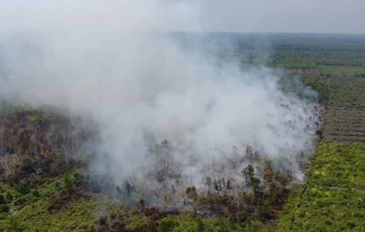 Kebakaran lahan di Jalan Karya Hapakat (Foto : IST)