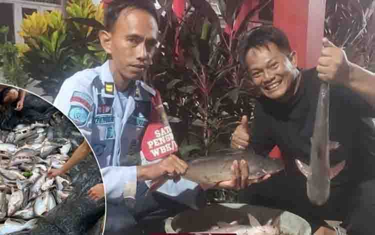 Pembinaan Budi Daya Ikan Sukses, Rutan Kapuas Panen 1 Ton Ikan Patin?