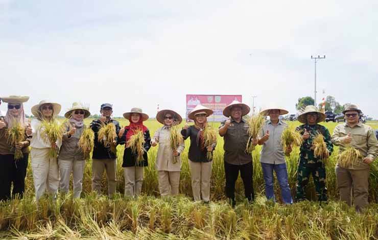 Kalimantan Tengah Pilih Varietas IR-42/PB-42 Antisipasi Dampak El Nino