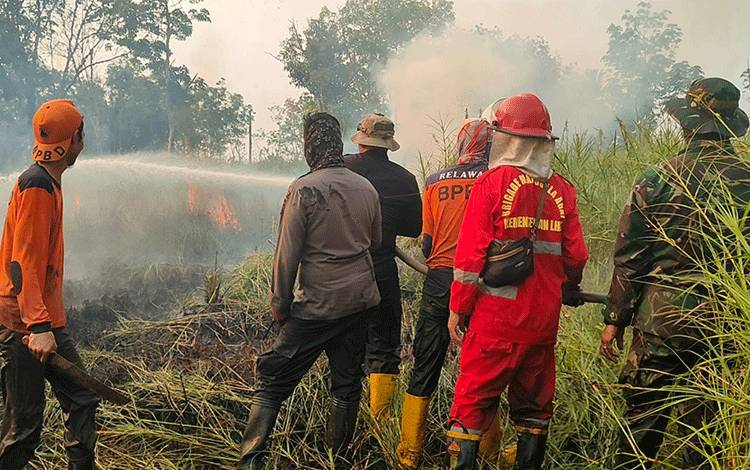 Karhutla Melanda Desa Bina Jaya Dadahup, Luasan Terbakar 7 Hektare?