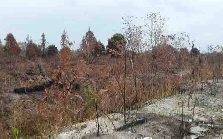 Hujan Kurangi Karhutla di Katingan