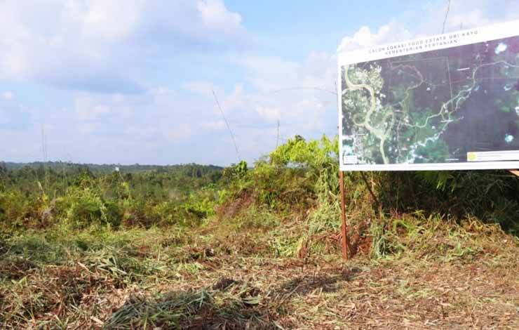 Kades Dahian Tambuk Sambut Baik Wacana Food Estate Singkong