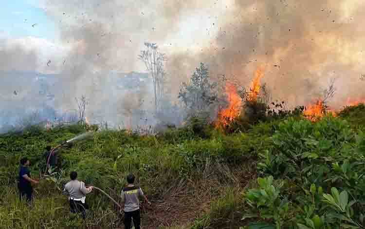 Tiga Kecamatan di Lamandau Rawan Karhutla  ?