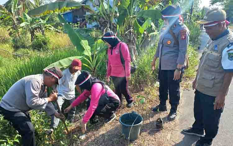 Dukung Penghijauan, Tepi Jalan Lintas Kelurahan Pulau Kupang Ditanami Pohon