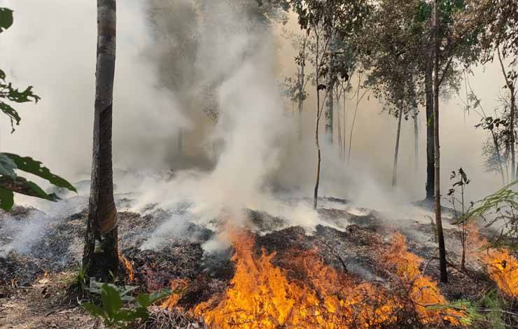 Karhutla di Desa Bentot Hanguskan Lahan 5 Hektare