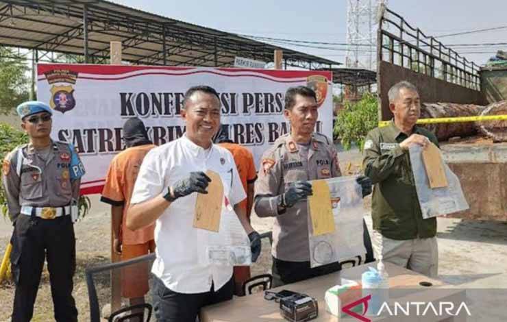 Polres Barito Selatan Amankan 2 Pelaku Pembalakan Liar