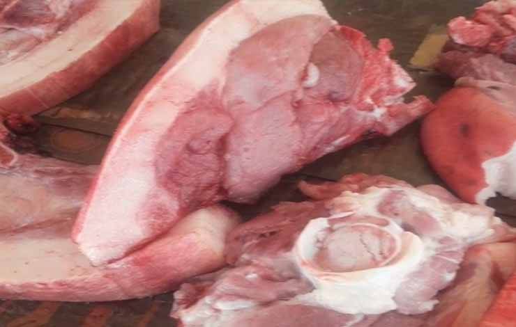 Harga Daging Babi Turun Faktor Penyebab Tidak Terjadi Kematian