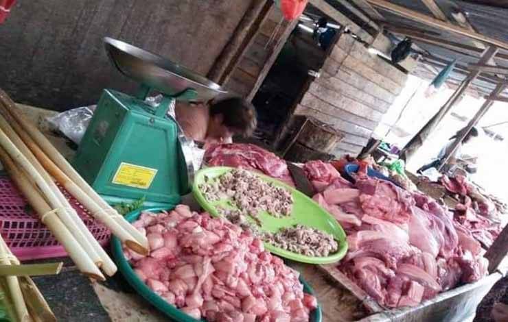 Pasca ASF Menyebar, Populasi Ternak Babi di Palangka Raya Menurun 90 Persen
