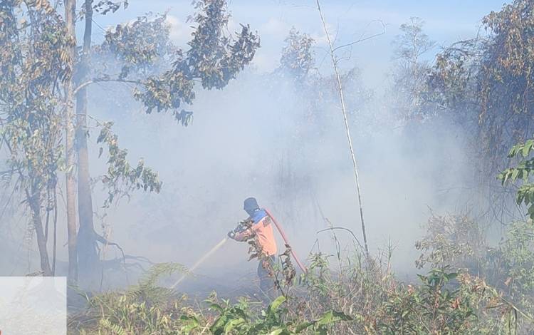 Karhutla Landa Kobar, Penyebab Diduga Akibat Pembukaan Lahan