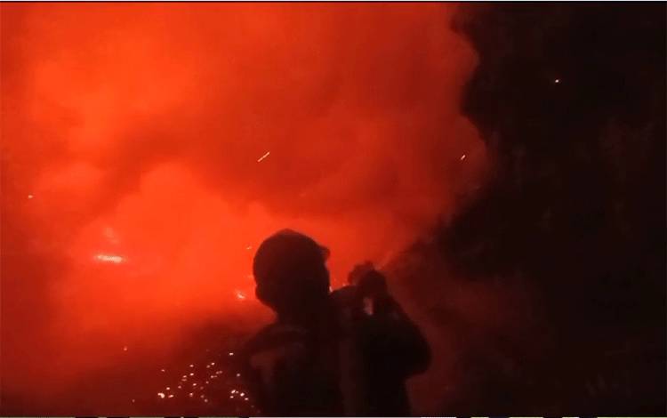 Bupati Kotim Kerahkan OPD Atasi Karhutla