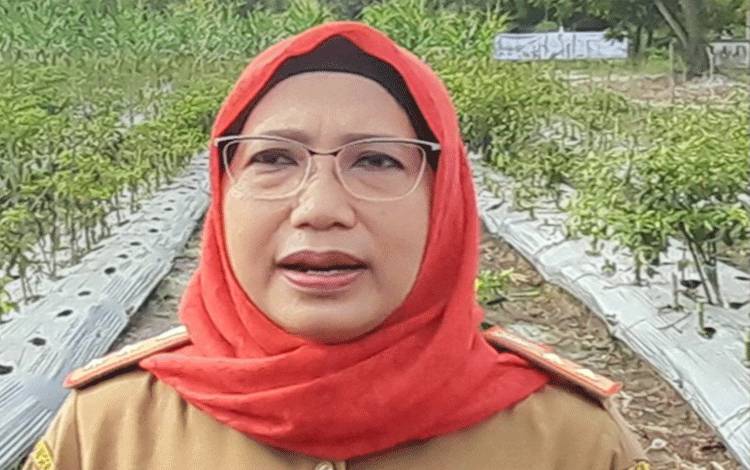 TPHP Kalteng Mitigasi Kegagalan Panen Dampak Kekeringan