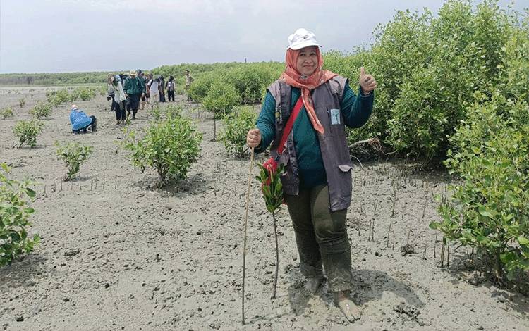 Ikatan Alumni Universitas Sumatera Utara Tanam Mangrove di Desa Bagan Kuala