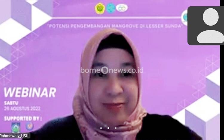 Guru Besar Universitas Sumatera Utara Ini Sampaikan Manfaat Hutan Mangrove