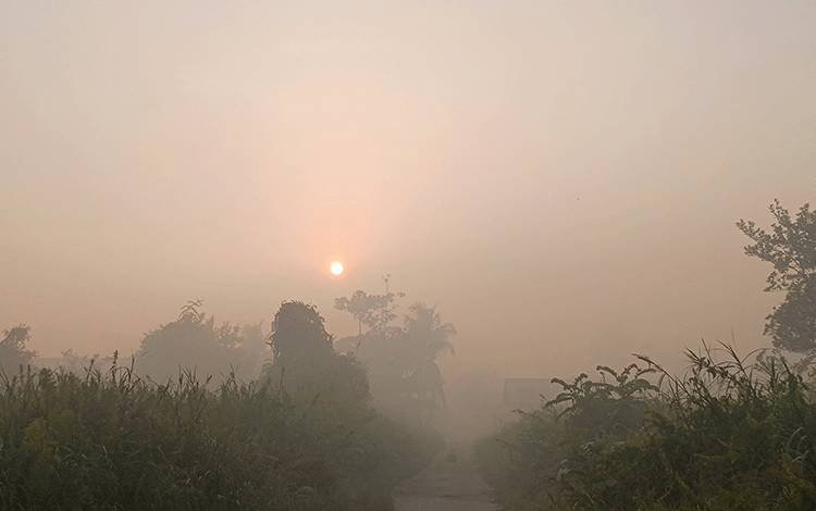 Kabut asap pagi di Kabupaten Kotawaringin Timur, Jumat, 8 September 2023. (FOTO: DEWIP)