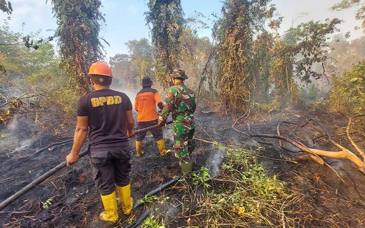 BMKG: Sejumlah Wilayah Berpotensi Alami Karhutla hingga Hujan Lebat, Cek Daerahnya