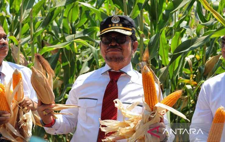 Mentan Luncurkan Jagung Varietas Unggul Hasil Kolaborasi dengan Unhas