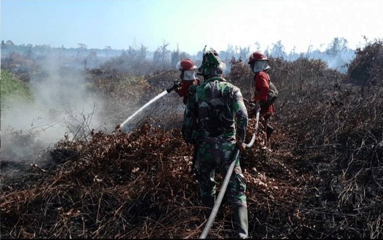 Anggota Manggala Agni dan unsur TNI lakukan pemadaman Karhutla di Kabupaten Sukamara. (Foto : Noval Manggala Agni).
